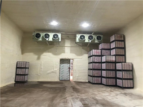 拼搏网页版页面-拼搏（中国）
苹果冷库安装案例